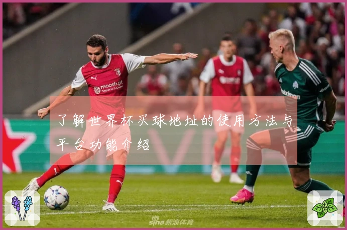 了解世界杯买球地址的使用方法与平台功能介绍