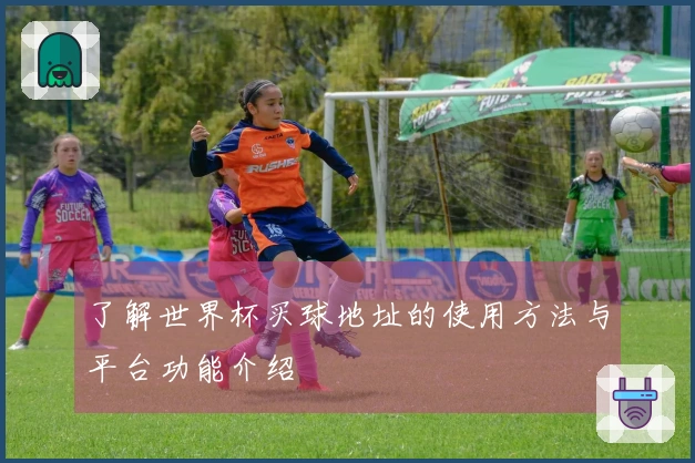 了解世界杯买球地址的使用方法与平台功能介绍