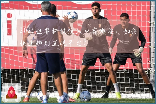 2026世界杯投注入口有哪些，如何快速辨别正规平台？