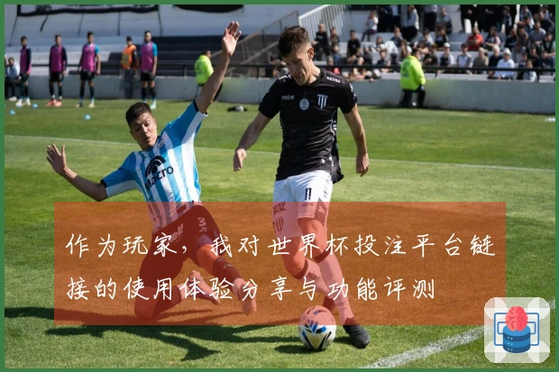 作为玩家，我对世界杯投注平台链接的使用体验分享与功能评测