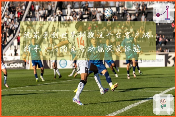 玩家亲测世界杯投注平台客户端，新手入门指南与功能深度体验