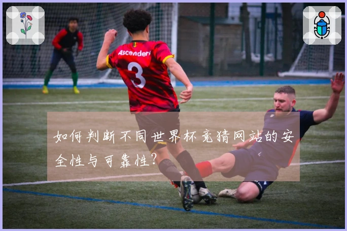 如何判断不同世界杯竞猜网站的安全性与可靠性?