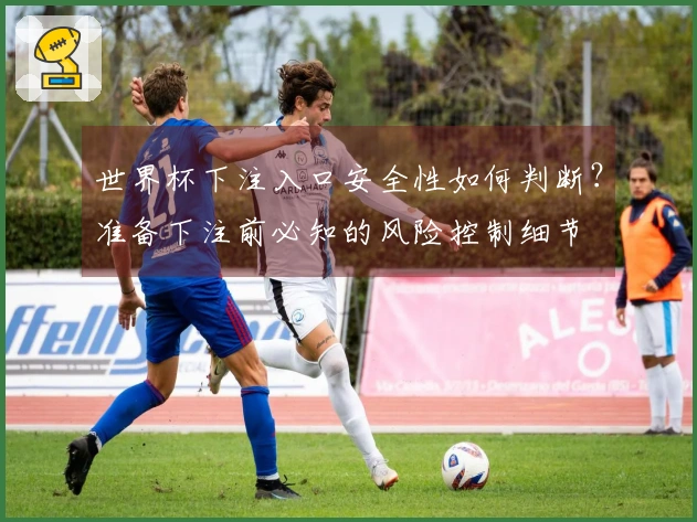 世界杯下注入口安全性如何判断？准备下注前必知的风险控制细节