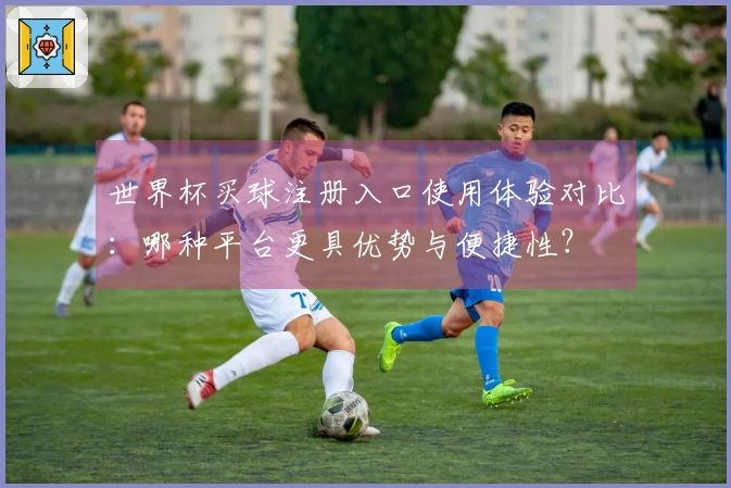 世界杯买球注册入口使用体验对比：哪种平台更具优势与便捷性？