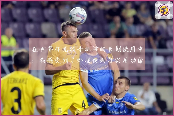 在世界杯竞猜手机端的长期使用中，我感受到了哪些便利与实用功能的提升？