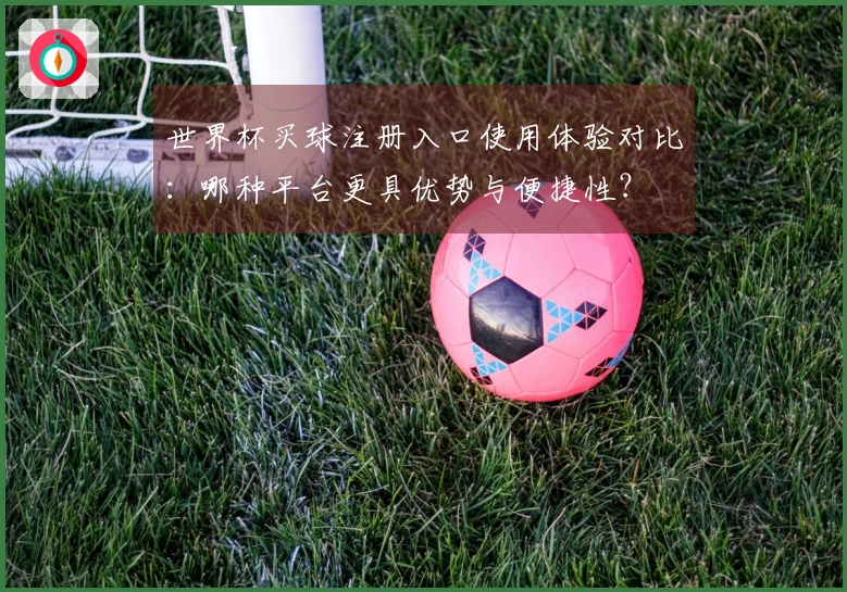 世界杯买球注册入口使用体验对比：哪种平台更具优势与便捷性？