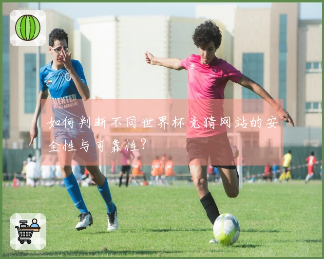 如何判断不同世界杯竞猜网站的安全性与可靠性？